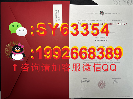 意大利帕多瓦大学毕业证书模板展示  /   成绩单样本展示
